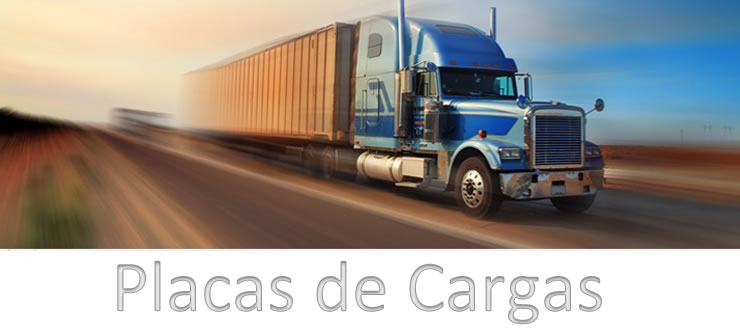 Placas de Carga CDMX